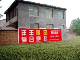 攀枝花如何让墙体广告展现最大化效果