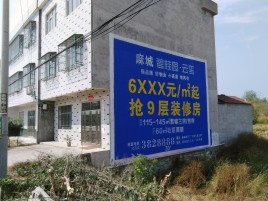 攀枝花墙体广告质量分析