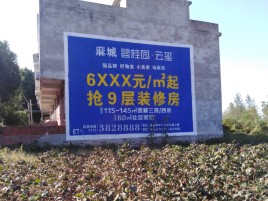 攀枝花品牌公司青睐的墙体广告
