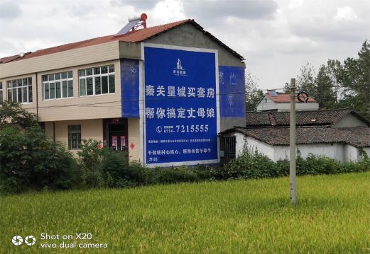 攀枝花决定墙体广告价格的因素有哪些？