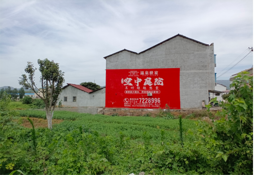攀枝花做墙体广告的意义